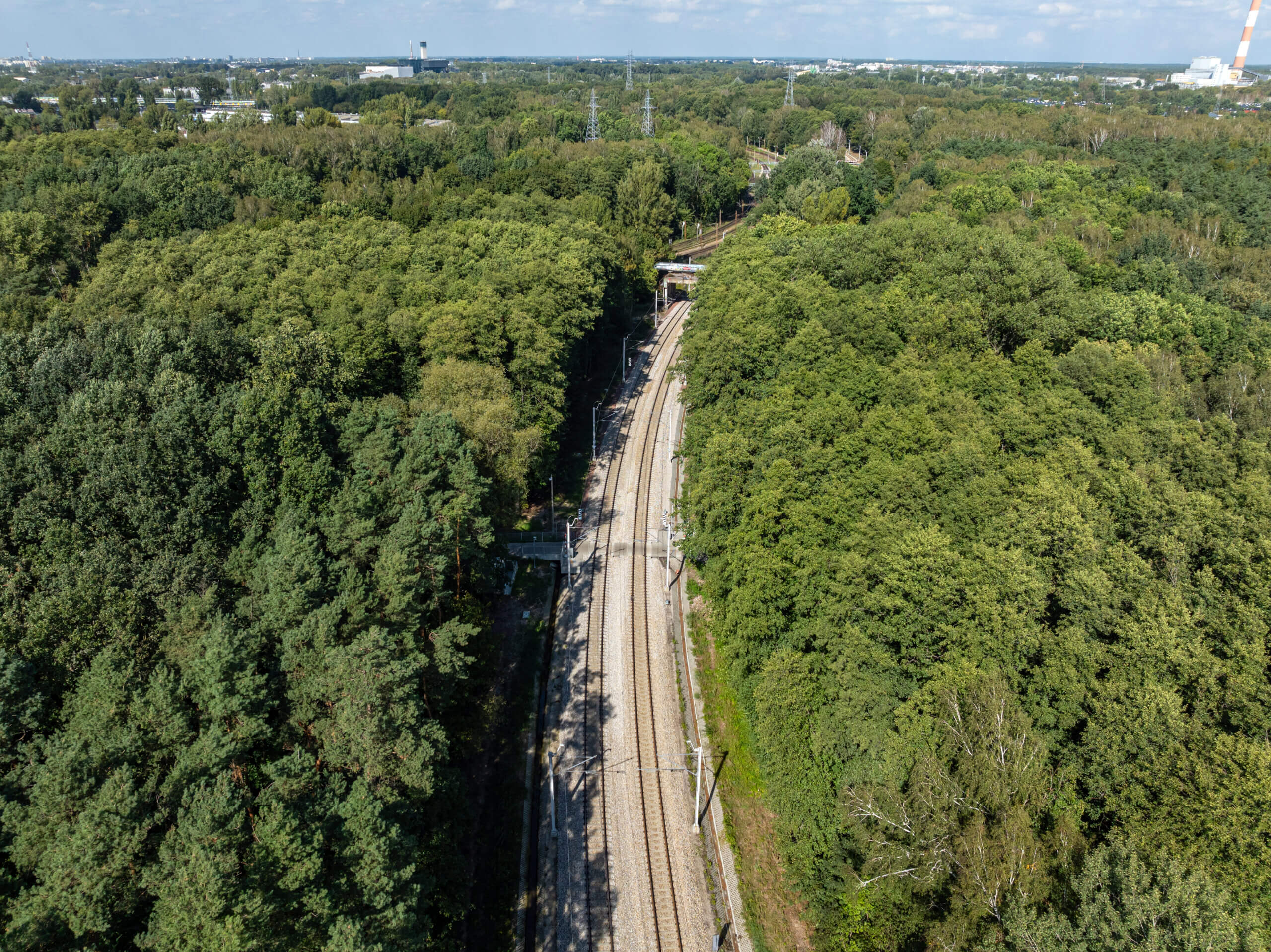 DJI_0339
